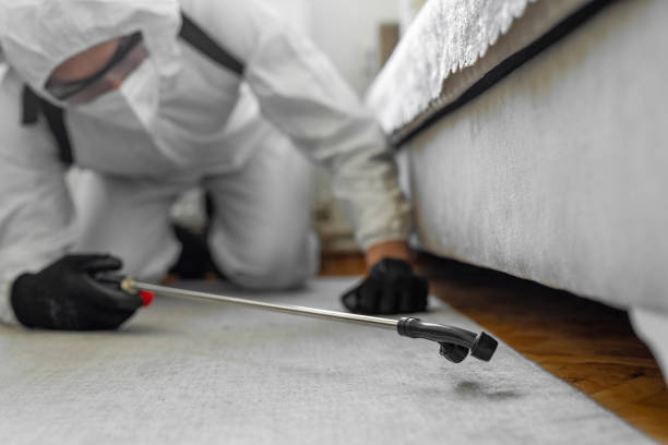 Professional Bed Bug Control technician working in Cottonwood, ID
