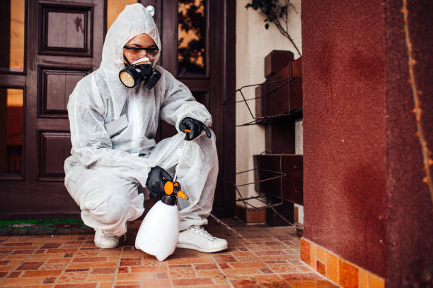 Reliable Bed Bug Control contractor in Cottonwood, ID by Nex Pest Control