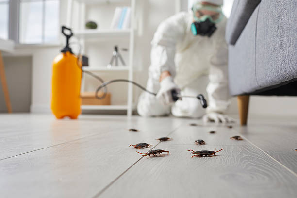 Trusted Termite Control service in Cottonwood, ID - Nex Pest Control