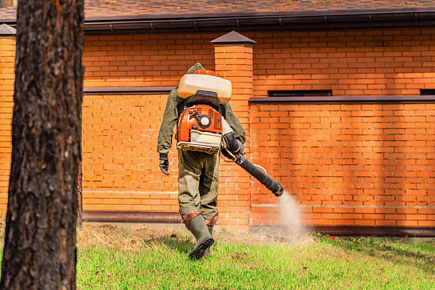 Trusted Mosquito Control service in Cottonwood, ID - Nex Pest Control